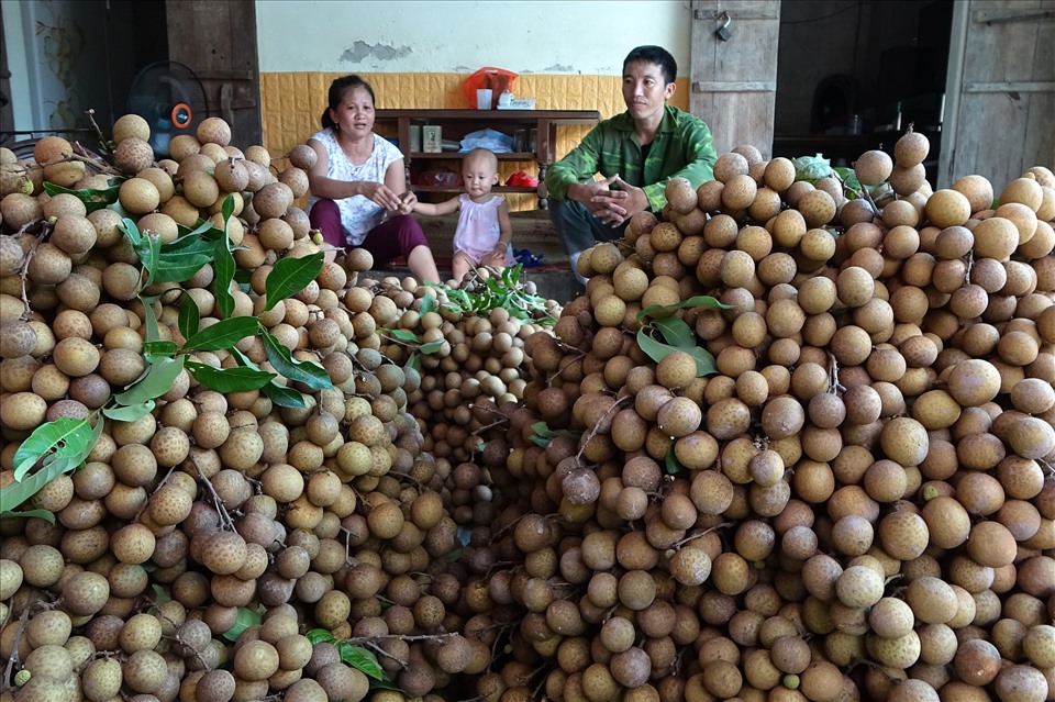 Chuẩn bị cân nhãn để xuất đi.