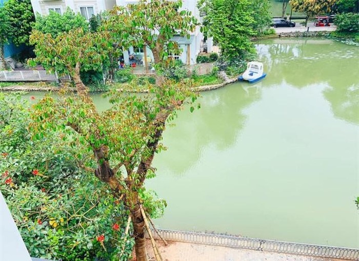 Sân vườn. Ảnh: NSCC