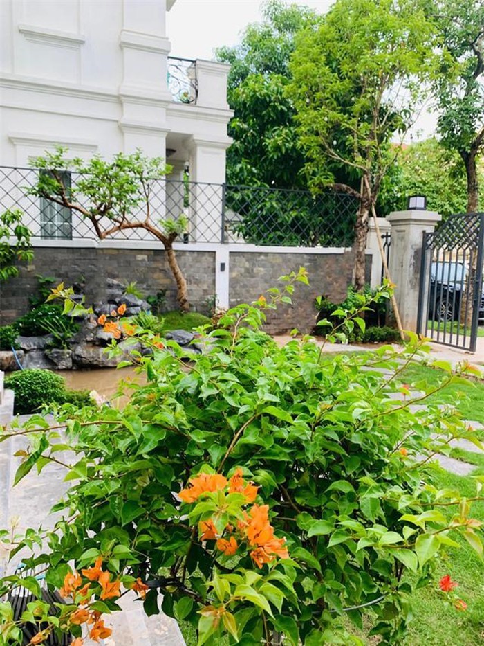 Sân vườn. Ảnh: NSCC