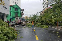 Thừa Thiên Huế: 1 người chết, hàng ngàn nhà dân tốc mái do bão số 5