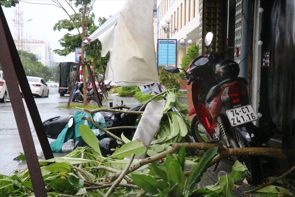 Broken green trees hit many motorcycles.