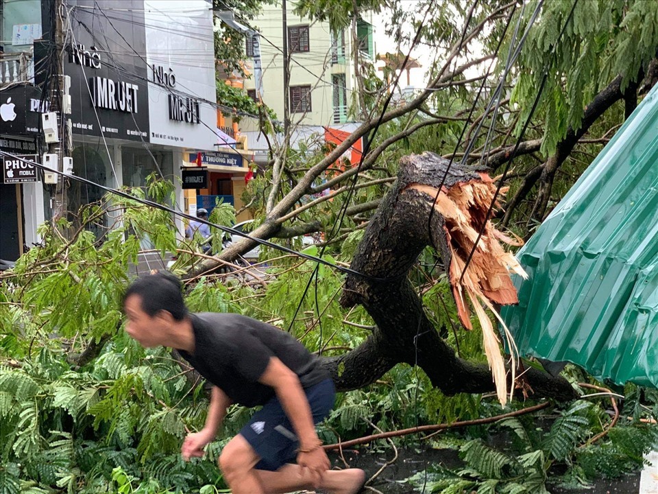 Bão số 5 khiến 1 người chết, 23 người bị thương, nhiều cây xanh bị gãy đổ tại Thừa Thiên Huế. Ảnh: Phúc Đạt