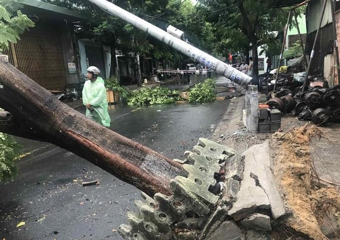 Một số cây trụ điện ở Đà Nẵng ngã đổ trong bão số 5. Ảnh: Hữu Long