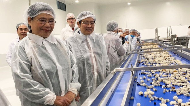 Phó chủ tịch Quốc hội Tòng Thị Phóng tham quan dây chuyền chế biến nước hoa quả tươi. Ảnh: P.H