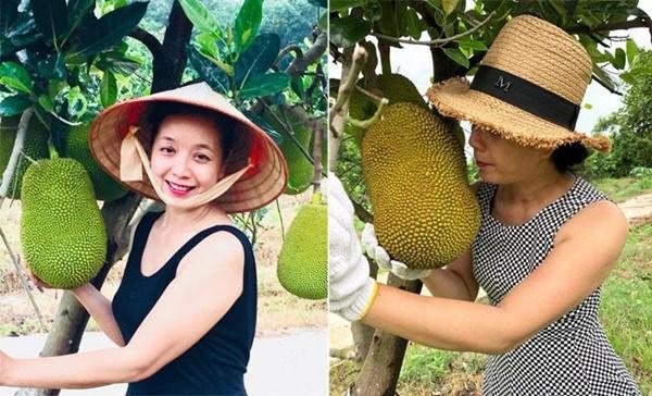 Chiều Xuân tự chăm sóc vườn. Ảnh: NSCC