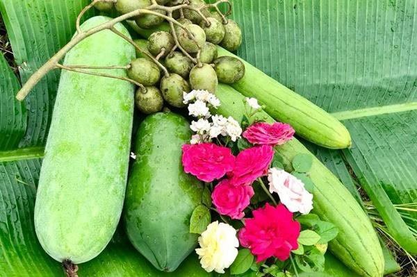 Mỹ Lệ đi thu hoạch trái cây. Ảnh: NSCC