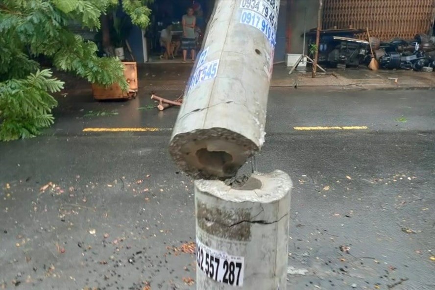 Một cột điện bị đổ theo kiểu "tiện ngang" trong bão số 5. Ảnh Hữu Long/LĐO