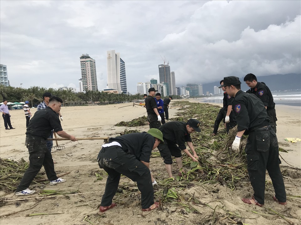 Các chiến sĩ Tiểu đoàn cảnh sát cơ động tập trung dọn những mảng bèo trên bãi biển. Ảnh: Hải Minh