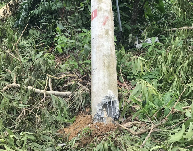 Cột điện ly tâm dự ứng lực. Ảnh: ND.