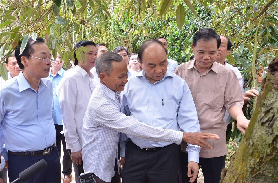 Thủ tướng Nguyễn Xuân Phúc thăm vùng trồng sầu riêng tỉnh Tiền Giang. Ảnh: K.Q
