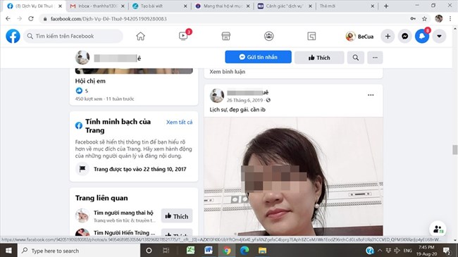 Xâm nhập mạng lưới "đẻ thuê - mang thai hộ"