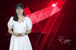 Giá vàng và ngoại tệ 25.9: Vàng đảo chiều tăng nhưng chưa thoát khỏi đáy