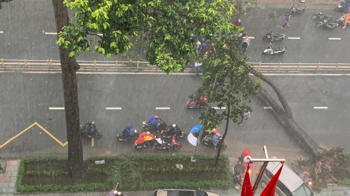Hiện trường cây xanh trên đường Nguyễn Tri Phương (quận 10, TPHCM) bật gốc, làm người đi đường thiệt mạng. Ảnh: Lê Phong