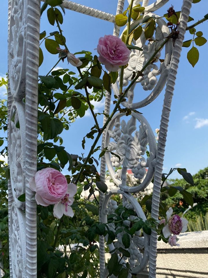 Khu sân thượng. Ảnh: NSCC
