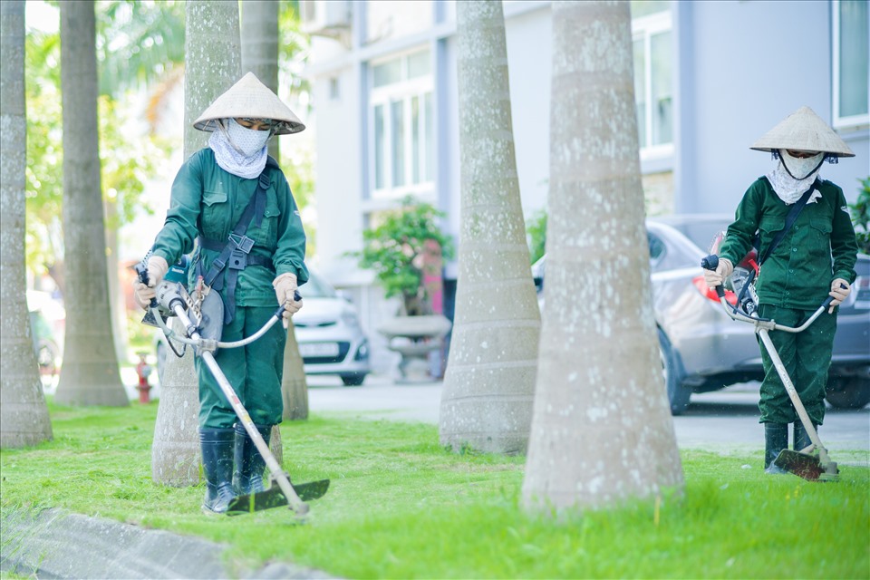 Môi trường làm việc “xanh” tại Công ty 189. Ảnh DN