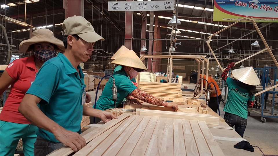 Tổ chức "hội nghị Diên Hồng" để tìm đà tăng tốc xuất khẩu gỗ