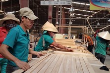 Tổ chức "hội nghị Diên Hồng" để tìm đà tăng tốc xuất khẩu gỗ