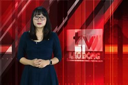 Bản tin 1 phút ngày 28.9: Tử vong do COVID-19 đã vượt 1 triệu ca