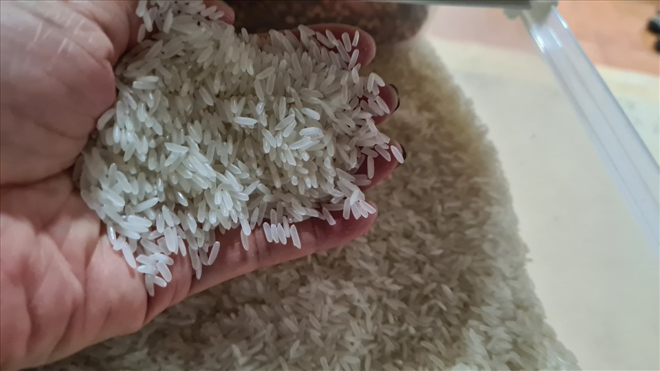 Giá lúa gạo tăng cao cũng khiến chỉ số giá tiêu dùng tháng 9 tăng. Ảnh: Vũ Long
