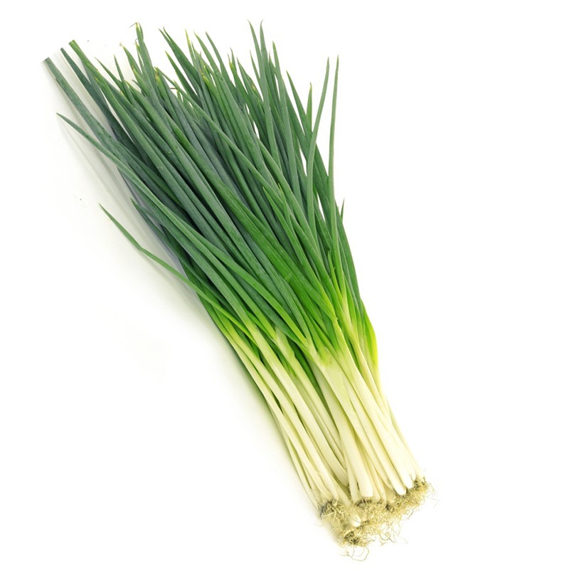 Hành lá hay còn được gọi là hành hương, hành hoa hoặc hành ta. Ảnh: BoldSky
