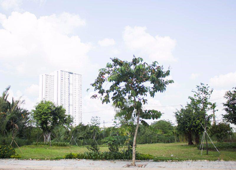 Công viên trước nhà. Ảnh: NSCC