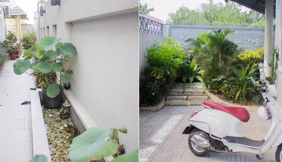 Sân vườn. Ảnh: NSCC
