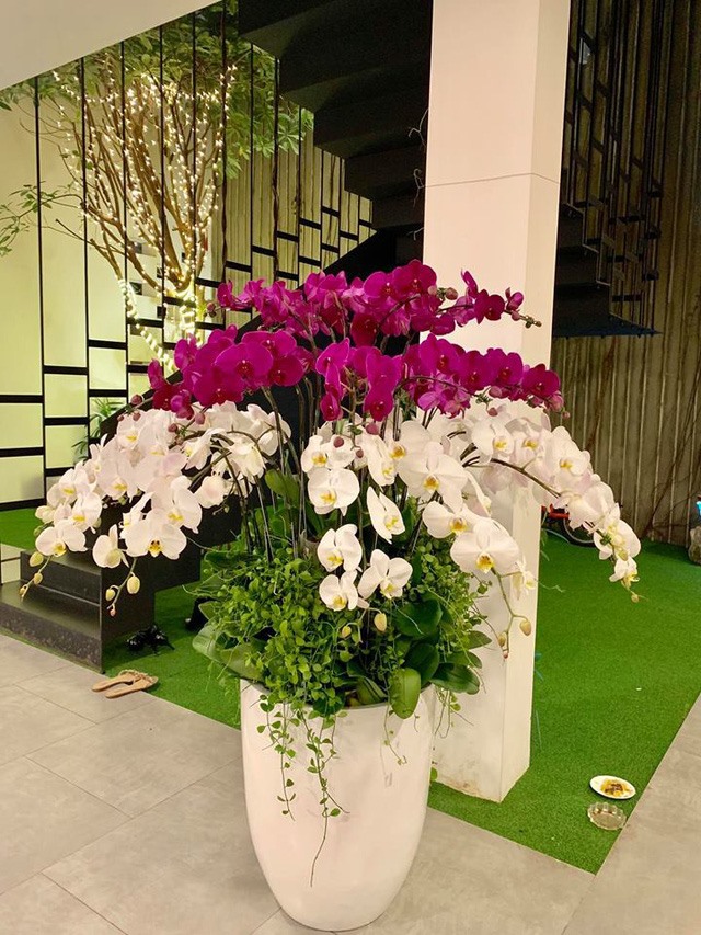 Dàn hoa. Ảnh: NSCC