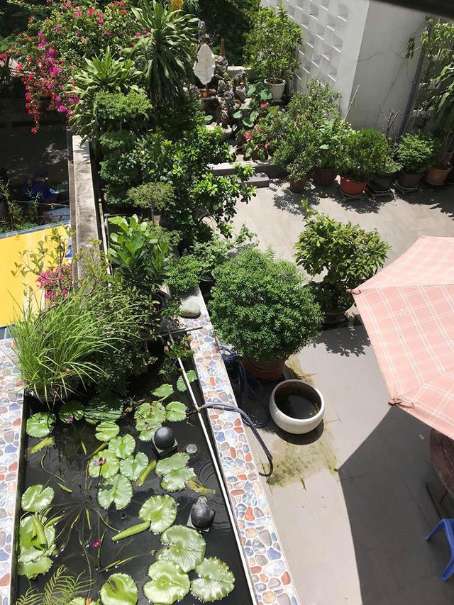 Dàn hoa. Ảnh: NSCC