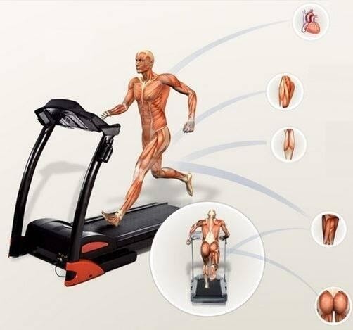 Máy chạy bộ mang lại nhiều công dụng cho sức khỏe