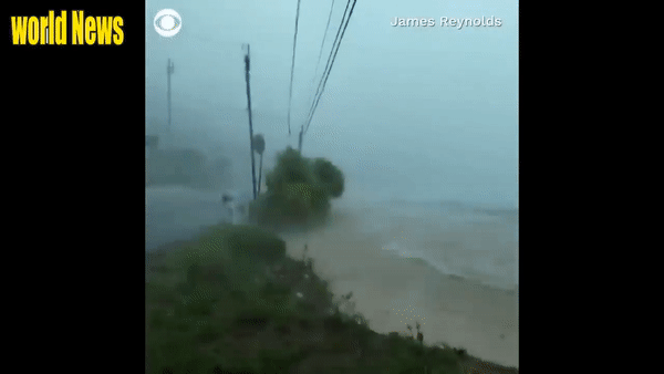Bão Haishen khiến 23 con sông ở Trung Quốc vượt mức cảnh bão lũ. Ảnh: World News