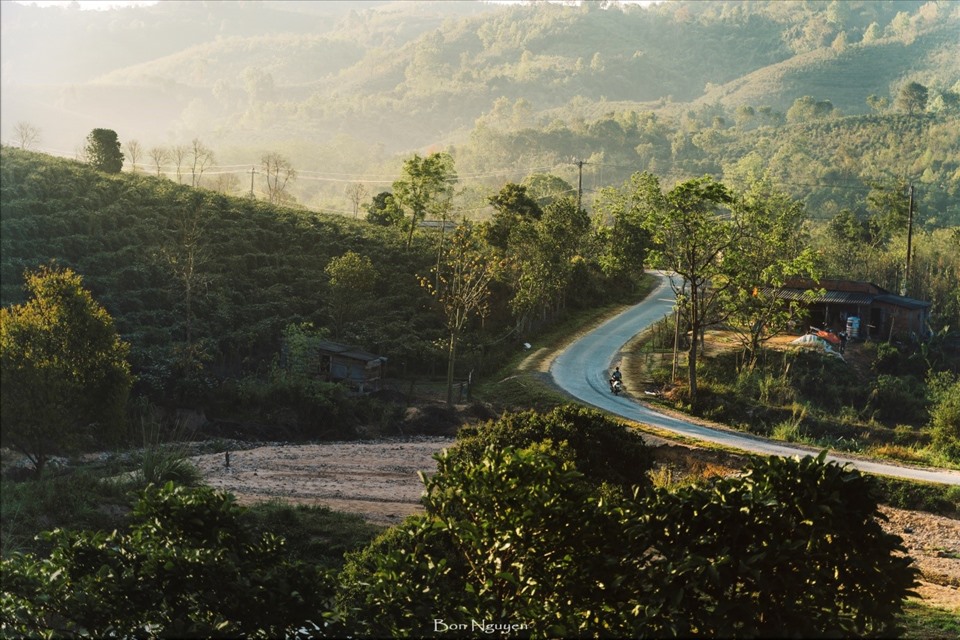 Đường vào Năm Mùa Bungalows. Ảnh: Nguyễn Bôn