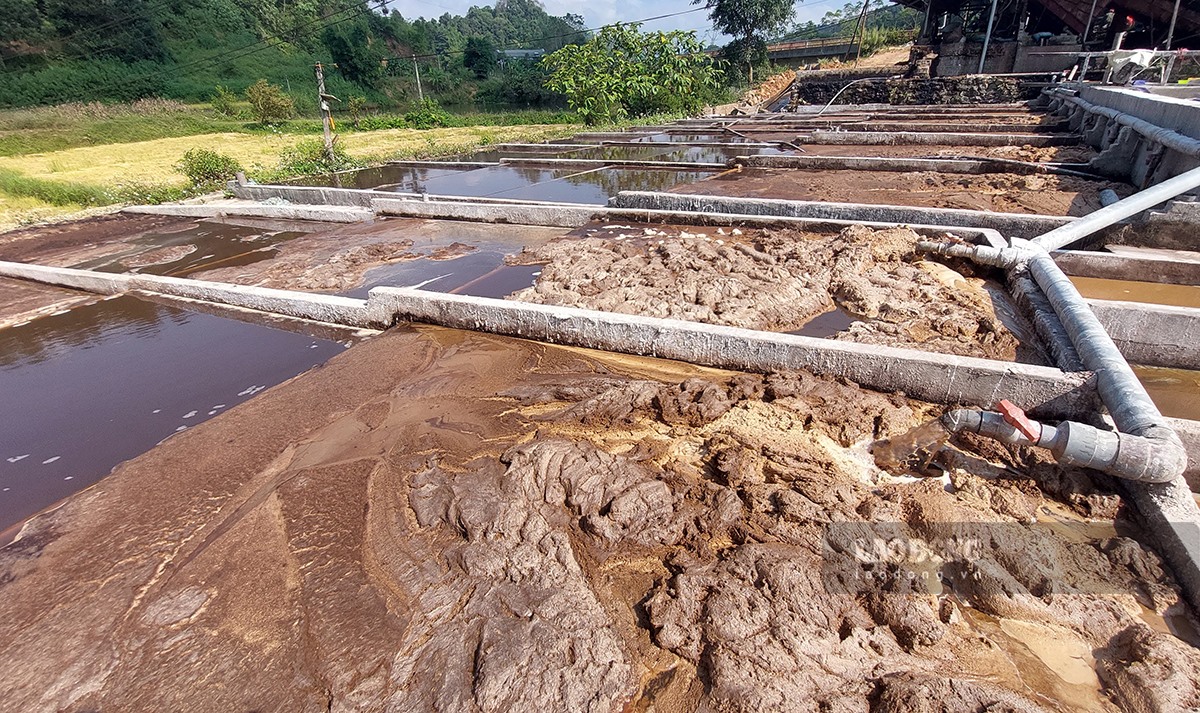 Tuy nhiên, sau gần 1 năm, khu chế biến dong riềng tập trung vẫn chưa thấy đâu, hàng nghìn khối nước thải vẫn đổ ra môi trường mỗi ngày.