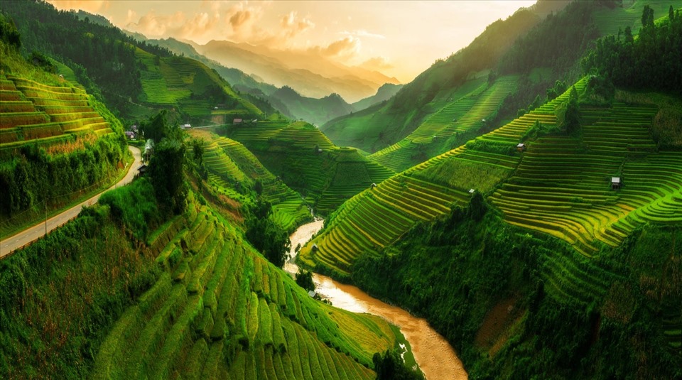 Mù Cang Chải, cảnh quan ruộng bậc thang gần Sapa, Việt Nam. Ảnh: Shutterstock