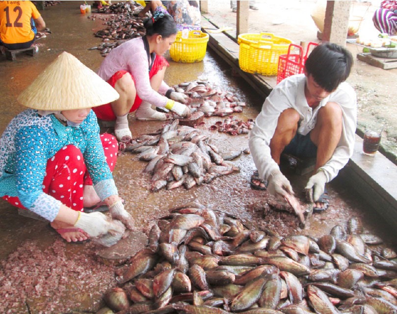 Mùa lũ về, trẻ con phải tự chèo xuồng đi học.