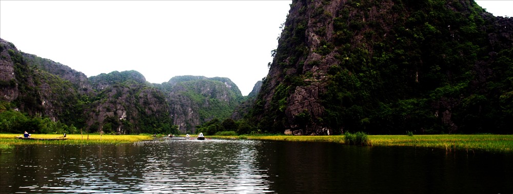 Ruộng lúa hai bên sông. 