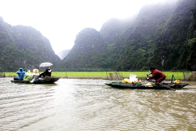 Trên sông Ngô Đồng. 