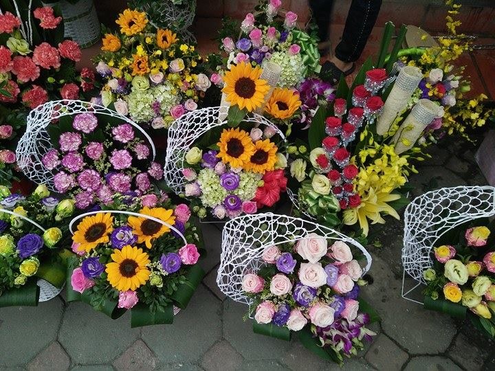 Hoa nhập hút khách dịp 20.11