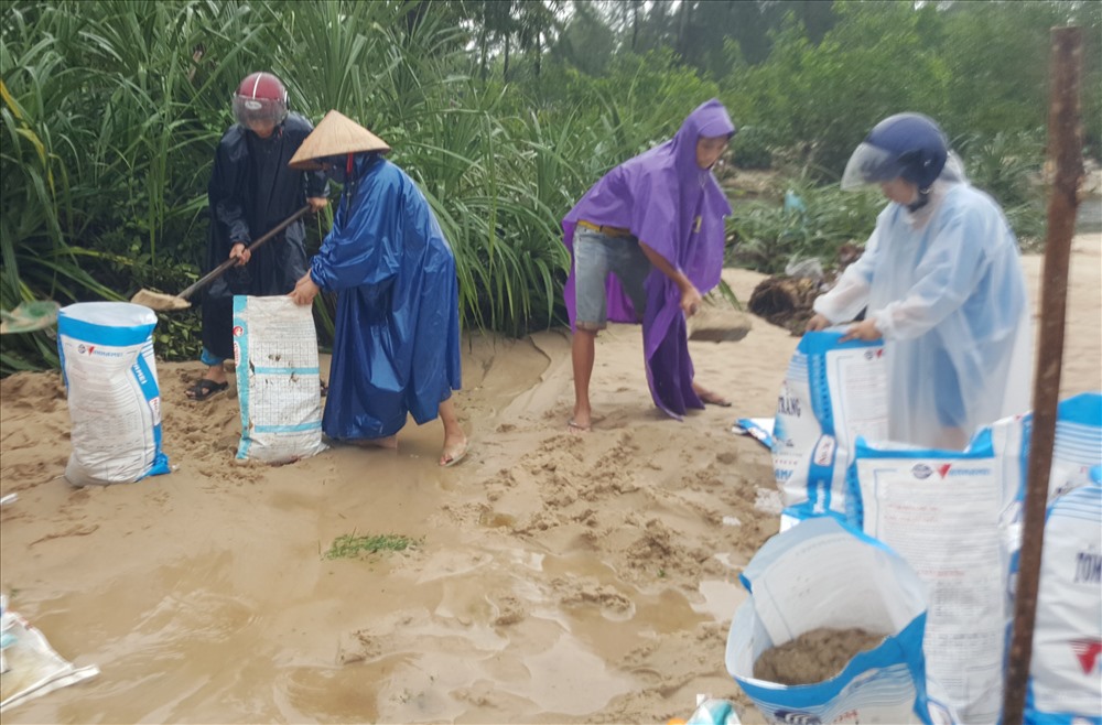 Chính quyền huy động lực lượng gia cố bờ kè bị nước lũ đe dọa. Ảnh: Hưng Thơ.