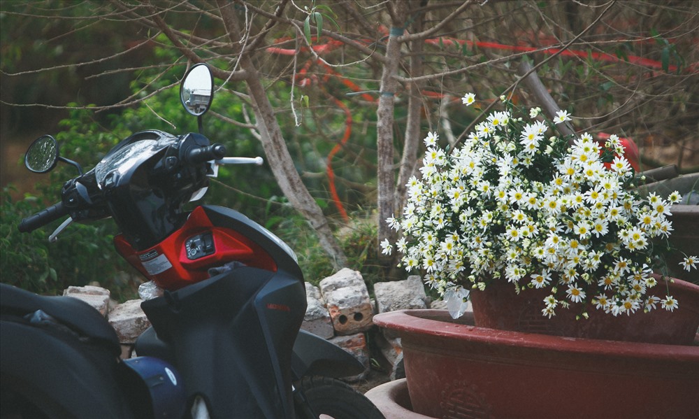 Mùa họa mi thường rất ngắn ngủi nên khi vừa thoáng thấy những gánh hàng rong chở hoa bán trên phố, nhiều người dân lại háo hức đợi mua.