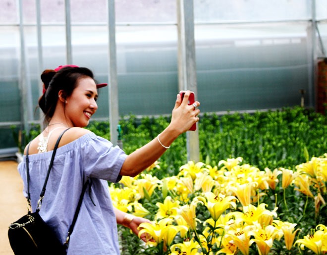 Khách tham quan hào hứng chụp ảnh checkin.