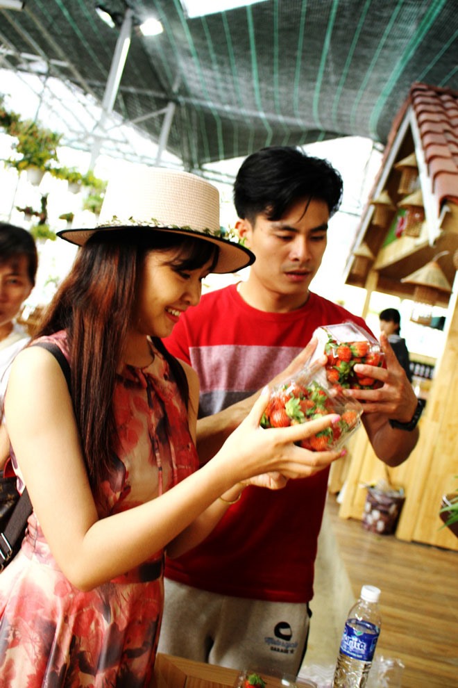 Du khách thích thú mua dâu về thưởng thức.