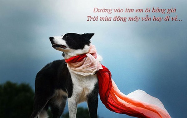 Trời mùa đông mây vẫn hay đi về