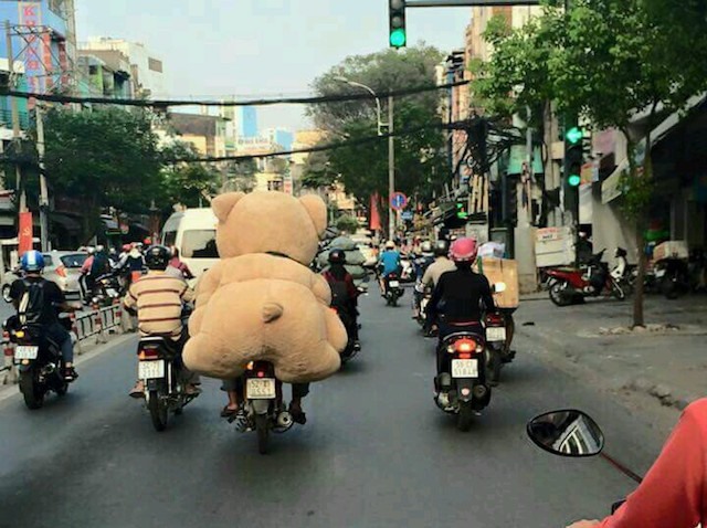 Đông này có gấu theo chân mỗi ngày giúp chúng ta không thấy lạnh lẽo