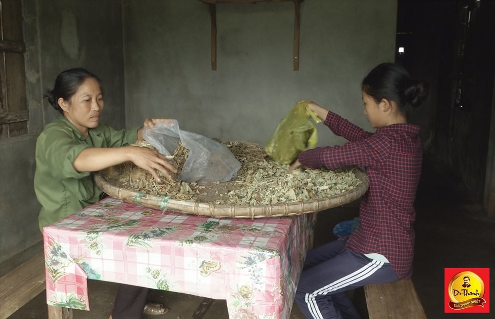 Do không có tiền chữa bệnh nên chị hái lá thuốc nam phơi để uống