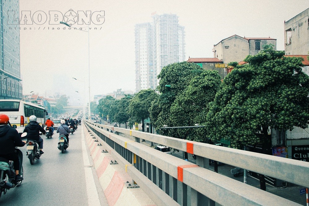 Hoa sữa trên phố Trần Duy Hưng.