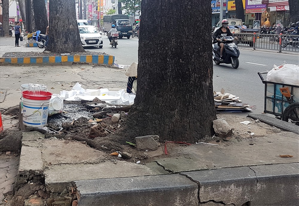 Ngoài việc bị biến thành nơi buôn bán, các gốc cây đại thu vô giá trên tuyến đường còn bị biến thành nơi các tiểu thương bán hàng rong vô tư tưới nước thải. Trên thực tế, trong nhiều cây ngã đổ thì phần rễ cây đã bị mục ruỗng bởi yếu tố con người. Ảnh: Trường Sơn