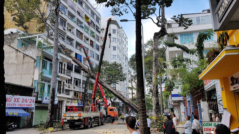 Trong mùa mưa năm nay, tại TPHCM đã xảy ra hàng chục vụ cây xanh, thậm chí là cây cổ thụ ngã đổ khiến nhiều tài sản, xe cộ bị hư hại. Cá biệt có vụ cây ngã đổ đè làm hư hại 4 nhà dân trên đường Lê Trọng Tấn (quận Tân Phú) hoặc cây ngã đè xẹp xe ôtô trên đường Mạc Thị Bưởi (quận1) khiến người dân rất bất an mỗi khi lưu thông trên đường mỗi khi mưa gió. Trong ảnh là hiện trường cây cổ thụ trên đường Nguyễn Thái Bình ngã đèn khiến 1 căn nhà mặt tiền và 1 góc chung cư bên cạnh bị hư hại vào đêm 17 rạng ngày 18.9. Ảnh: Trường Sơn