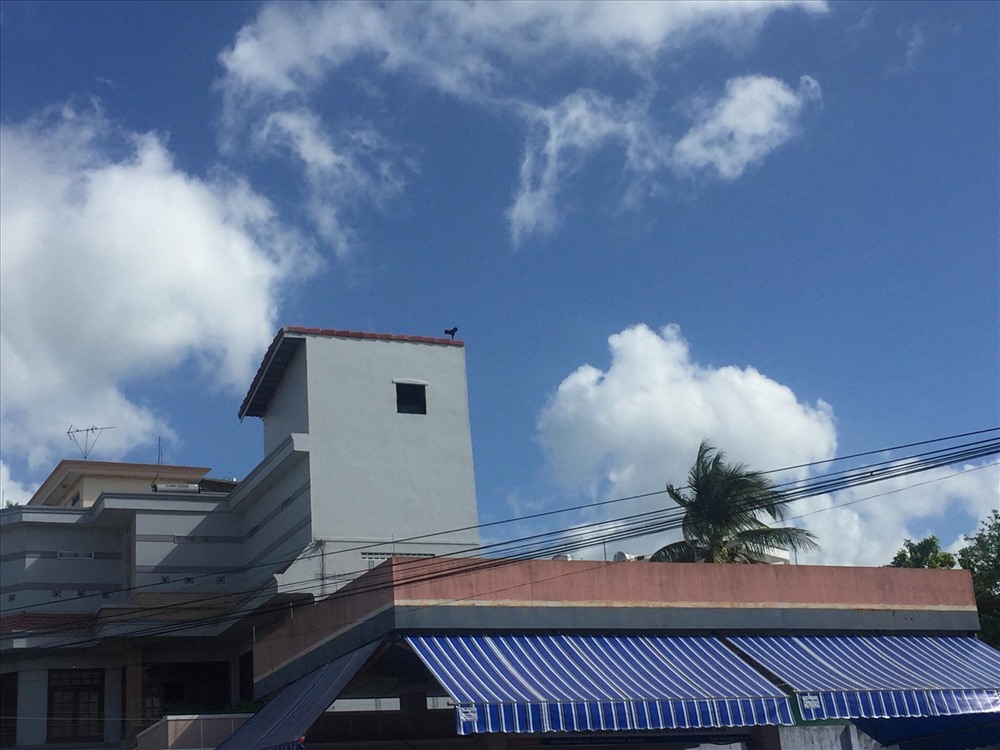 Người dân nuôi chim Yến tự phát ngay trong nhà ở TP Nha Trang, Khánh Hòa. Ảnh: PV