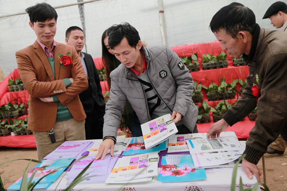 Không chỉ trưng bày các gian hàng về hoa, lễ hội cũng giới thiệu các tài liệu về chăm sóc hoa, cây cảnh cho du khách tham khảo, học hỏi.