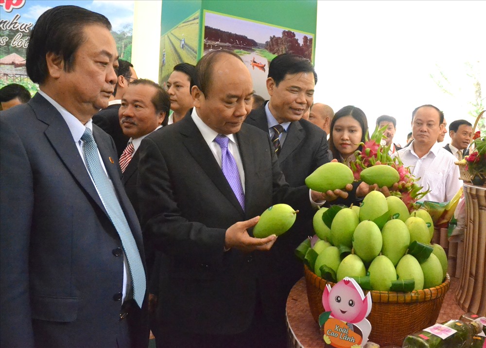 Thủ tướng tham quan gian hàng trưng bay đặc sản Đồng Tháp. Trong ảnh là Xoài cát Cao Lãnh.